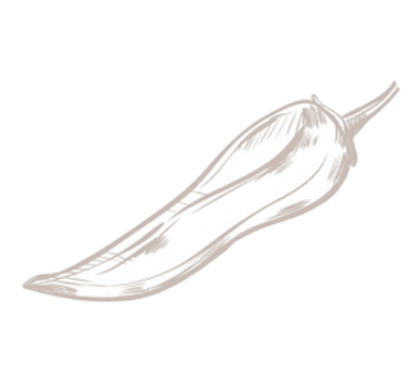 shape28