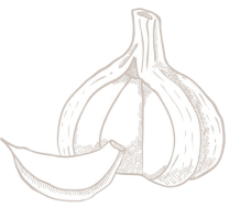 shape36