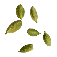shape6
