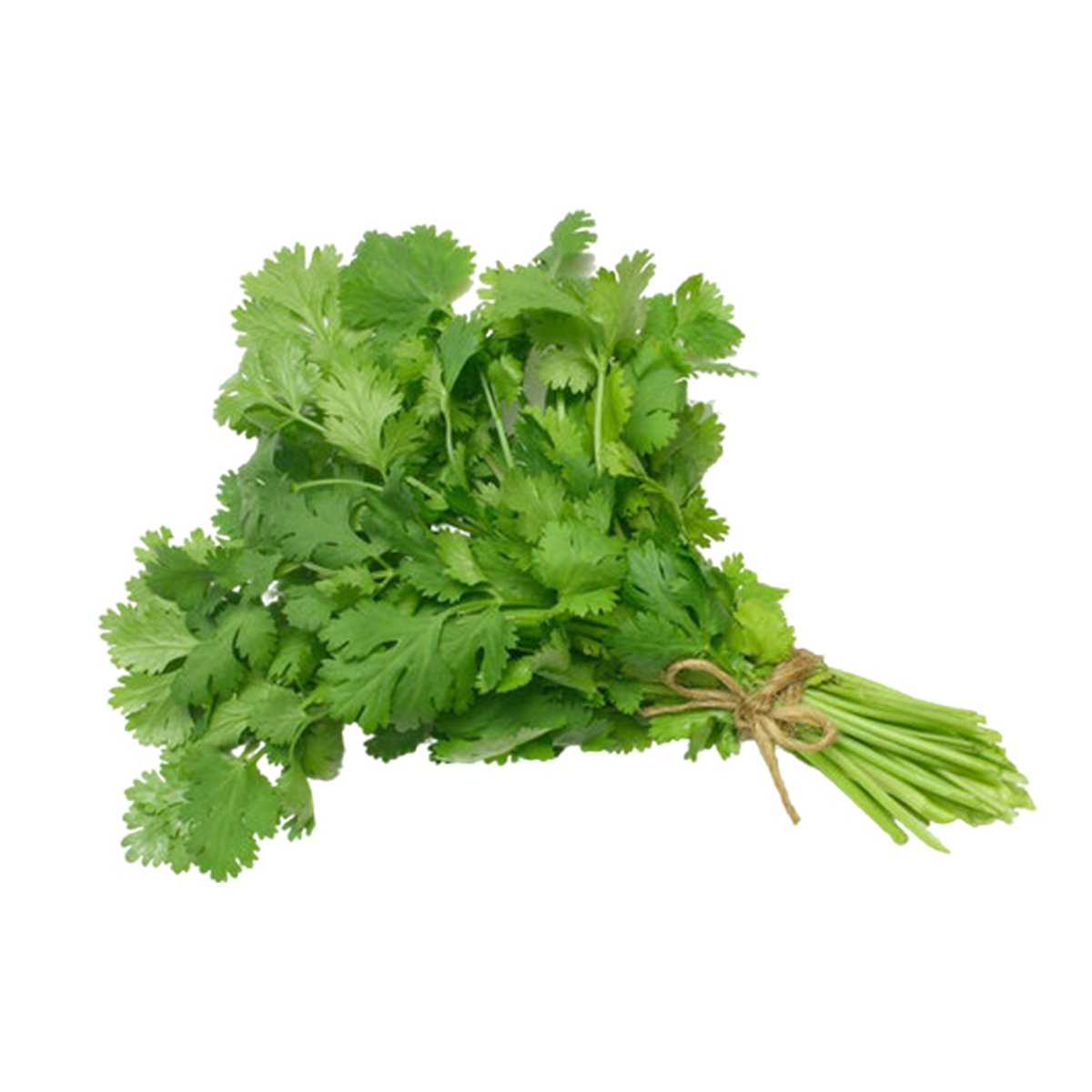 Coriander Leaves
