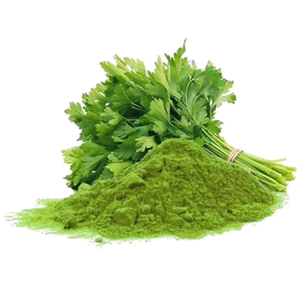 Coriander Leaves Powder