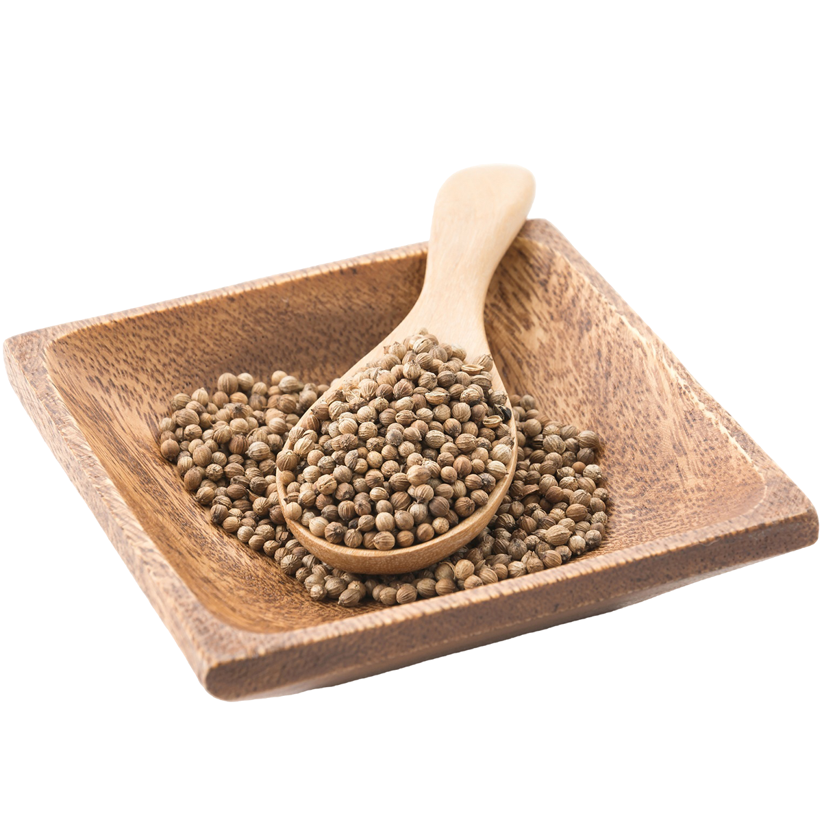 Coriander
